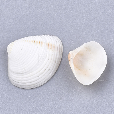 Clam Shell Beads SSHEL-S258-49-1