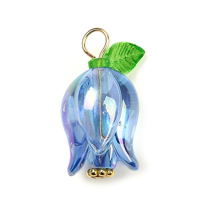 Acrylic Pendants PALLOY-JF03534-01-1