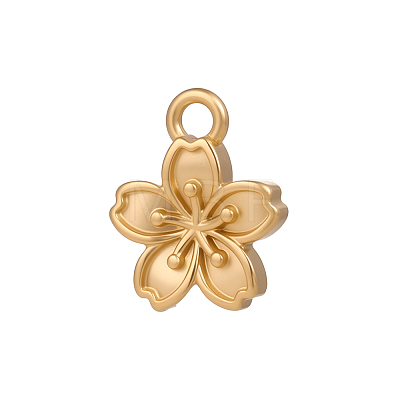 304 Stainless Steel Charms SA-OY001-45G-1