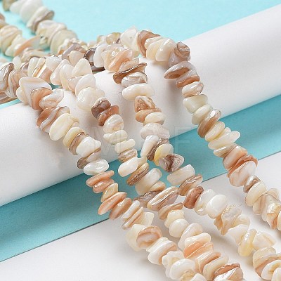 Natural Shell Beads Strands G-F328-45-1