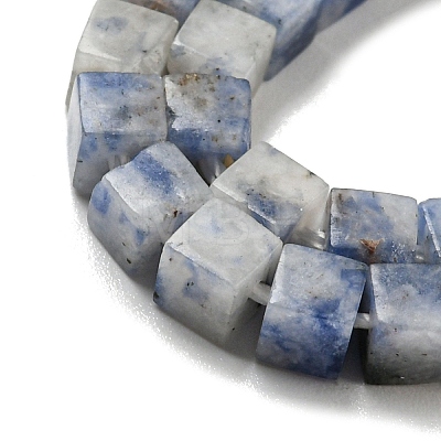 Natural Blue Spot Jasper Beads Strands G-C129-A03-01-1