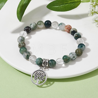 Natural Tree Agate Round Bead Stretch Bracelets BJEW-JB09872-01-1