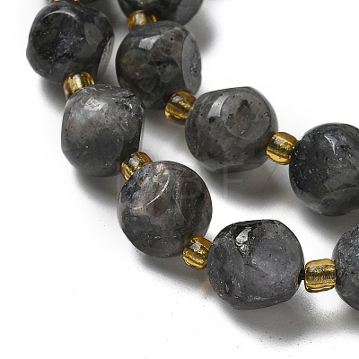 Natural Larvikite Beads Strands G-K387-A02-02-1