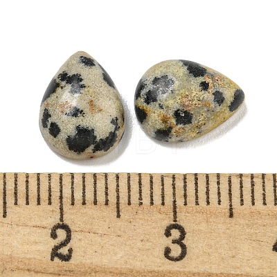 Natural Dalmatian Jasper Cabochons G-Q173-02C-20-1