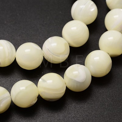 Natural Sea Shell Beads Strands SSHEL-K013-10mm-A-1