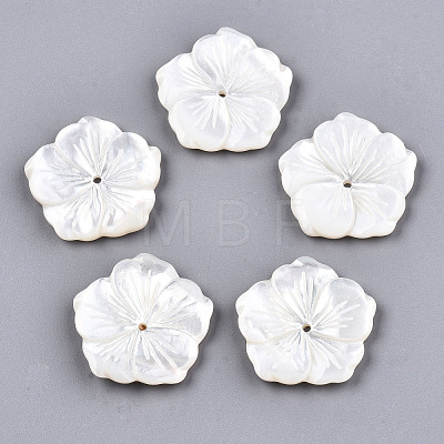 Natural White Shell Mother of Pearl Shell Beads SSHEL-N032-17-1