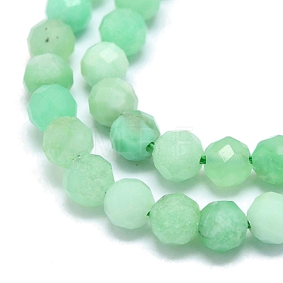 Natural Chrysoprase Beads Strands G-G106-C01-03-1