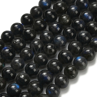 Natural Black Labradorite Beads Strands G-L642-B15-8mm-1
