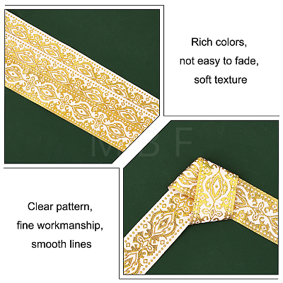 Ethnic Style Embroidery Polyester Ribbons OCOR-WH0060-53B-1