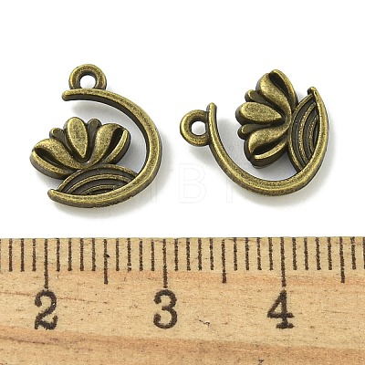 Tibetan Style Alloy Pendants TIBE-I026-6025AB-1