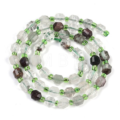 Natural Lodolite Quartz Beads Strands G-O201B-109E-1