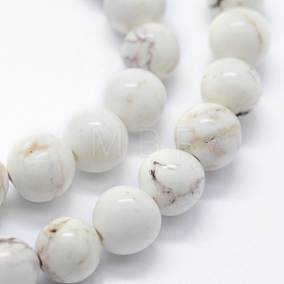 Natural Magnesite Beads Strands X-G-I199-27-10mm-1