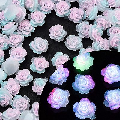 Luminous Resin Decoden Cabochons RESI-K036-48-1