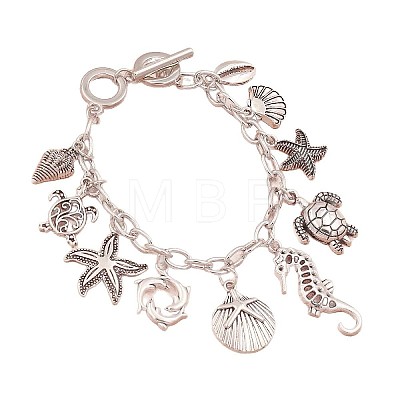 Ocaen Alloy Charm Bracelets FS-WGFD137-01-1