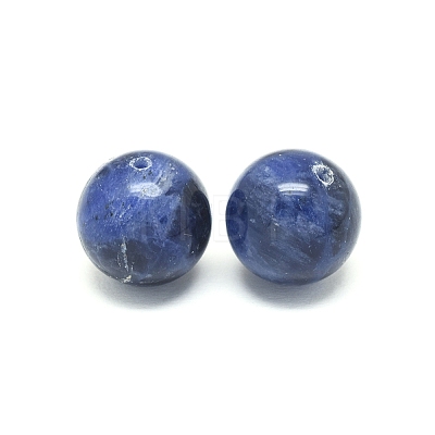 Natural Sodalite Beads X-G-F222-39A-14mm-1
