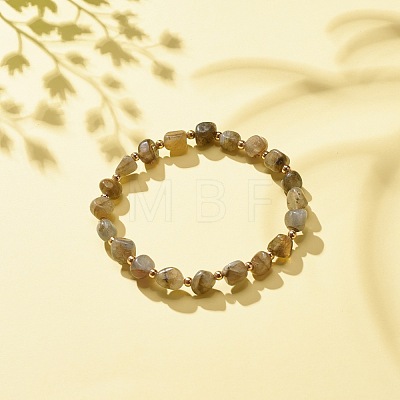 Natural Labradorite Round Beaded Stretch Bracelet BJEW-JB08197-06-1