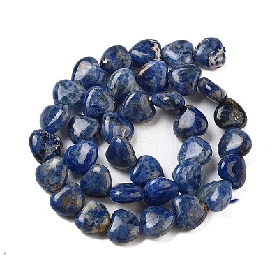 Natural Sodalite Beads Strands G-B022-36C-1