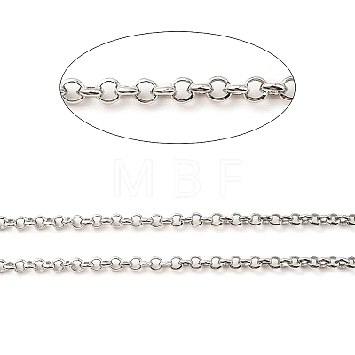 Rhodium Plated 925 Sterling Silver Rolo Chains STER-F052-05P-1