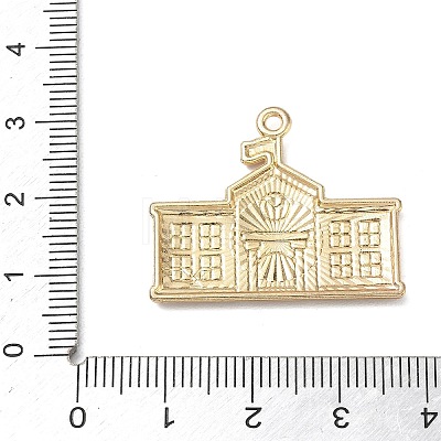 Alloy with Enamel Pendants AL-CBAE84A-02F-01-1