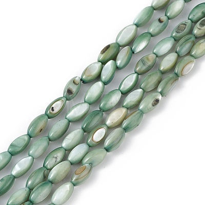 Natural Freshwater Shell Dyed Beads Strands X-SHEL-M018-13-11-1