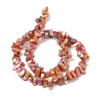 Natural Freshwater Shell Beads Strands BSHE-H018-07D-1