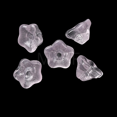 Baking Paint Transparent Glass Beads GLAA-T025-81C-09-1