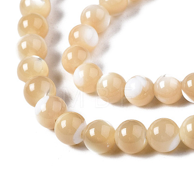 Natural Trochid Shell/Trochus Shell Beads Strands X-SSHEL-S266-023B-02-1