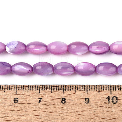Natural Trochus Shell Beads Strands SHEL-K006-19-01D-1