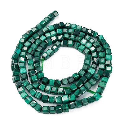 Natural Malachite Beads Strands G-C009-B24-01-1