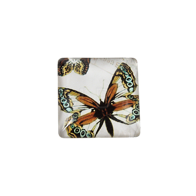 Butterfly Printed Glass Square Cabochons GGLA-N001-10mm-C-1