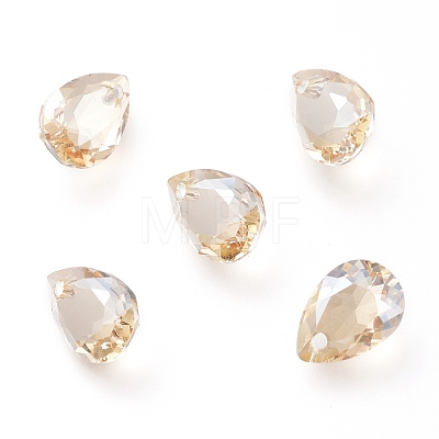 Glass Rhinestone Pendants RGLA-A024-H02-001GS-1