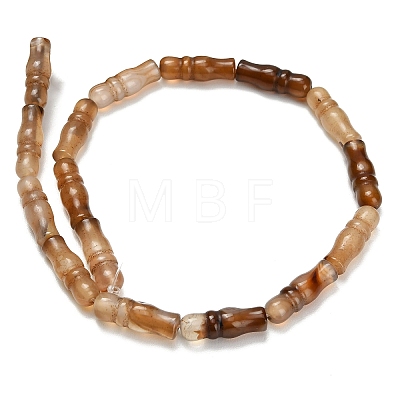 Natural Agate Beads Strands G-Z144-A02-01A-1