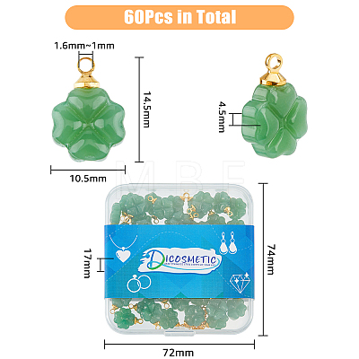 60Pcs Glass Charms GLAA-DC0001-08-1