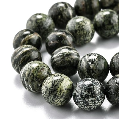 Natural Green Zebra Jasper Beads Strands G-L574-05C-1