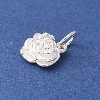 S925 Sterling Silver Pendant STER-H115-08C-S-1