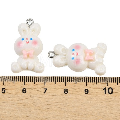 Opaque Resin Pendants LS-RESI-XCP0002-34-1