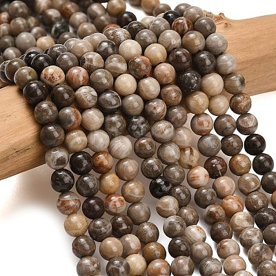 Natural Fossil Coral Beads Strands G-C288-A01-6mm-1