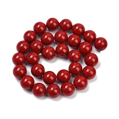 Shell Pearl Beads Strands X-BSHE-K015-14mm-01-1