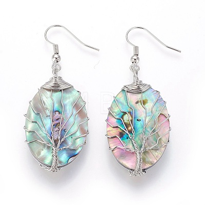 Abalone Shell/Paua Shell Dangle Earrings EJEW-L235-02P-1