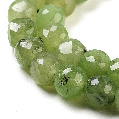 Natural Prehnite Beads Strands G-H028-A05-01-1