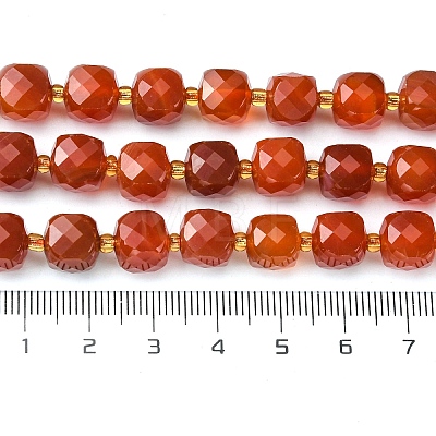 Natural Carnelian Beads Strands G-Q010-A17-01-1