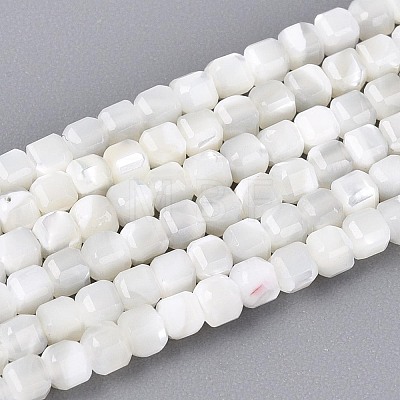 Natural Trochid Shell/Trochus Shell Beads Strands BSHE-T014-52A-01-1