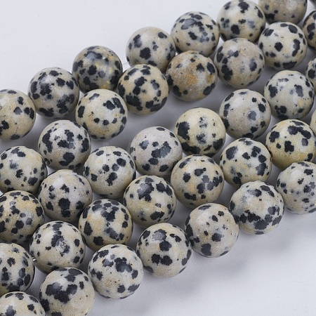 Natural Dalmation Jasper Beads Strands G-G515-10mm-06-1