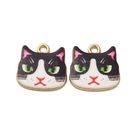 Alloy Enamel Pendants ENAM-V002-04G-05-1