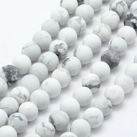 Natural Howlite Beads Strands G-F518-22-10mm-1