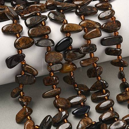 Natural Bronzite Beads Strands G-Z130-A02-01-1