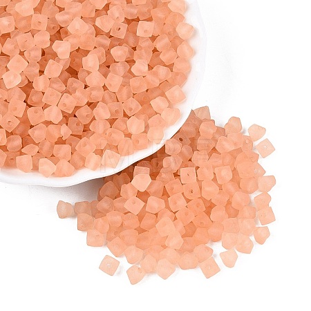 FGB Frosted Transparent Glass Seed Beads SEED-N013-03A-04-1