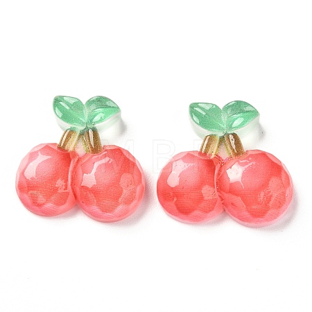 Transparent Resin Cabochons X-CRES-J046-03F-1