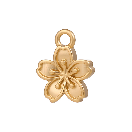 304 Stainless Steel Charms SA-OY001-45G-1