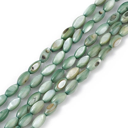 Natural Freshwater Shell Dyed Beads Strands X-SHEL-M018-13-11-1